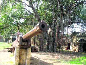 Description: A cannon at Patiala fort
