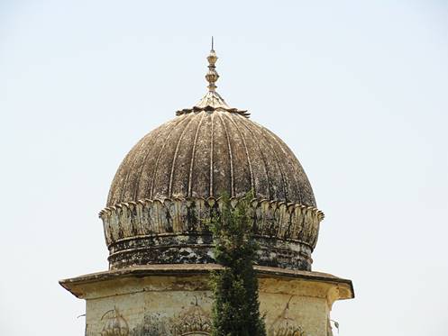 Description: The ribbed dome of the Doberan Kallan gurdwara.