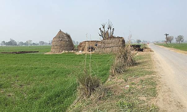 Description: Called Behak, this is a temporary farm house built in the fields after the month of Poh (bearing extreme cold). The huts are called Chhann.