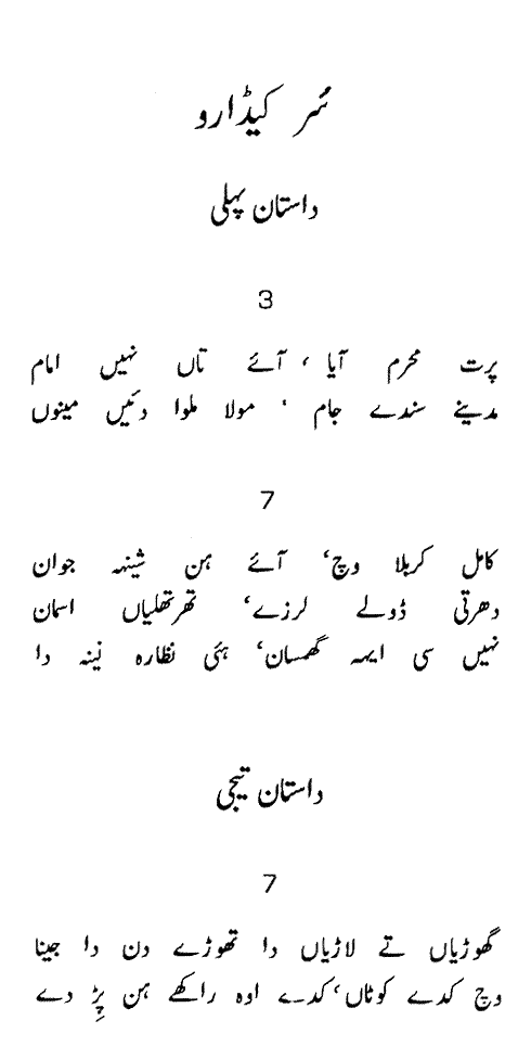 Shah Jo Risalo (Punjabi Translation)____Shah Abdul Latif Bhitai (Apna)  Academy Of Punjab In North America