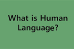 What is Human Language?