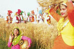 Baisakhi – A Very Punjabi Festival
