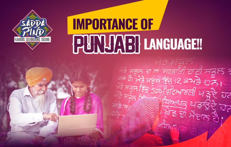 Importance Of Punjabi Language