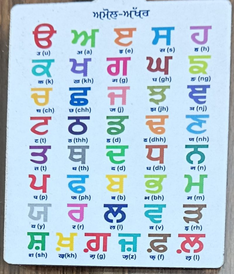 Punjabi Continues To Face Neglect Despite 50 Yrs Of Statehood